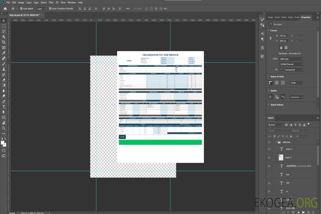 Modèle de bulletin de paie de l'organisation template Modèle de bulletin de paie de l'organisation template